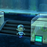 animal_crossing_wii_pics1.jpg