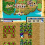 harvest_moon_ds_3.jpg