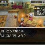 Dragon_Quest_IX_ds-2.jpg