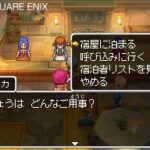 Dragon_Quest_IX_ds2-2.jpg