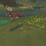 deer_jumping.jpg