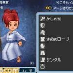 Dragon_Quest_IX_-_09.jpg