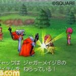 Dragon_Quest_IX_-_17.jpg