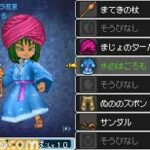 Dragon_Quest_IX_-_20.jpg