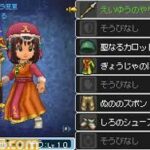 Dragon_Quest_IX_-_21.jpg