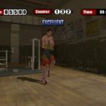 2K_Sports_Don_King_Boxing_screenshots_Wii_17_.jpg