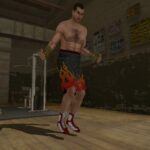 2K_Sports_Don_King_Boxing_screenshots_Wii_2_.jpg