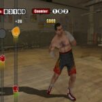 2K_Sports_Don_King_Boxing_screenshots_Wii_3_.jpg