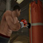 2K_Sports_Don_King_Boxing_screenshots_Wii_5_.jpg