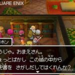 dragon_quest_IX_10.jpg