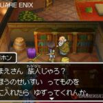 dragon_quest_IX_4.jpg