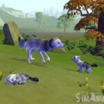 sim_animals_1.jpg