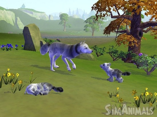 sim_animals_1.jpg