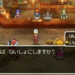 dragon_quest_IX_3-2.jpg