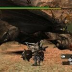 monster_hunter_G_15-2.jpg