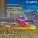 Dragon_Quest_9_ds27.jpg