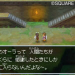 Dragon_Quest_IX_-_ds_5.jpg