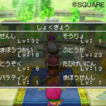 Dragon_Quest_IX_-_DSimages16.jpg