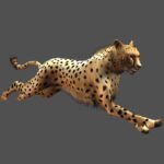 Jambo__Safari-Nintendo_WiiArtwork3411Cheetah.jpg