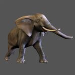 Jambo__Safari-Nintendo_WiiArtwork3412Elephant.jpg