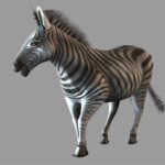 Jambo__Safari-Nintendo_WiiArtwork3414Zebra.jpg