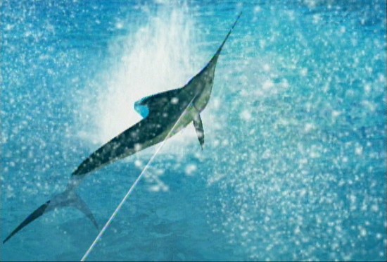 Reel_fishing_1.jpg