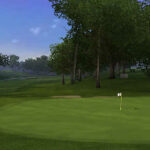 Tiger_Woods_PGA_Tour_10_-_03.jpg