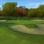 Tiger_Woods_PGA_Tour_10_-_08.jpg