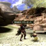 Monster_hunter_tri_7.jpg