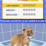 me-and-my-dogs-amis-pour-toujours-nintendo-ds-012.jpg