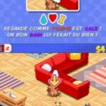 me-and-my-dogs-amis-pour-toujours-nintendo-ds-014.jpg