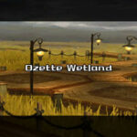 ozette_wetland.jpg