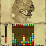 puzzle-chronicles-nintendo-ds-011.jpg