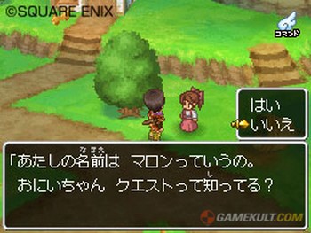 dragon_quest_ix_1.jpg