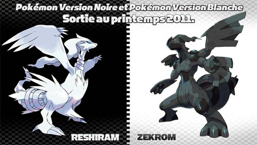 pokemon_reshiram_zekrom.jpg