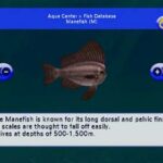 my_aquarium_2_screenshots_06.jpg