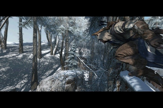 assassin-s-creed-3-screen.jpg