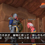 Dragon_Quest_X_-_img_13.jpg