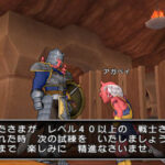 Dragon_Quest_X_-_img_14.jpg