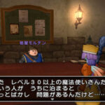 Dragon_Quest_X_-_img_2.jpg