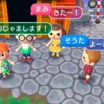 Animal_crossing_3DS_screen16.jpg