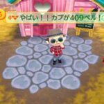 animal_crossing_new_leaf0.jpg