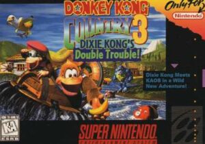 dkc3.jpg