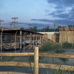 the-walking-dead-survival-instinct_screen-1.jpg