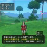 dragon_quest_x_img_wii_u_07.jpg