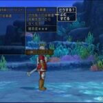 dragon_quest_x_img_wii_u_09.jpg