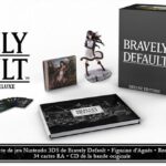 bravely_default_collector_fr_facebook.jpg