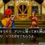 dragon_quest_viii_3ds_-_img.jpg