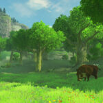 wiiu_thelegendofzeldabreathofthewild_e32016_background_12.jpg