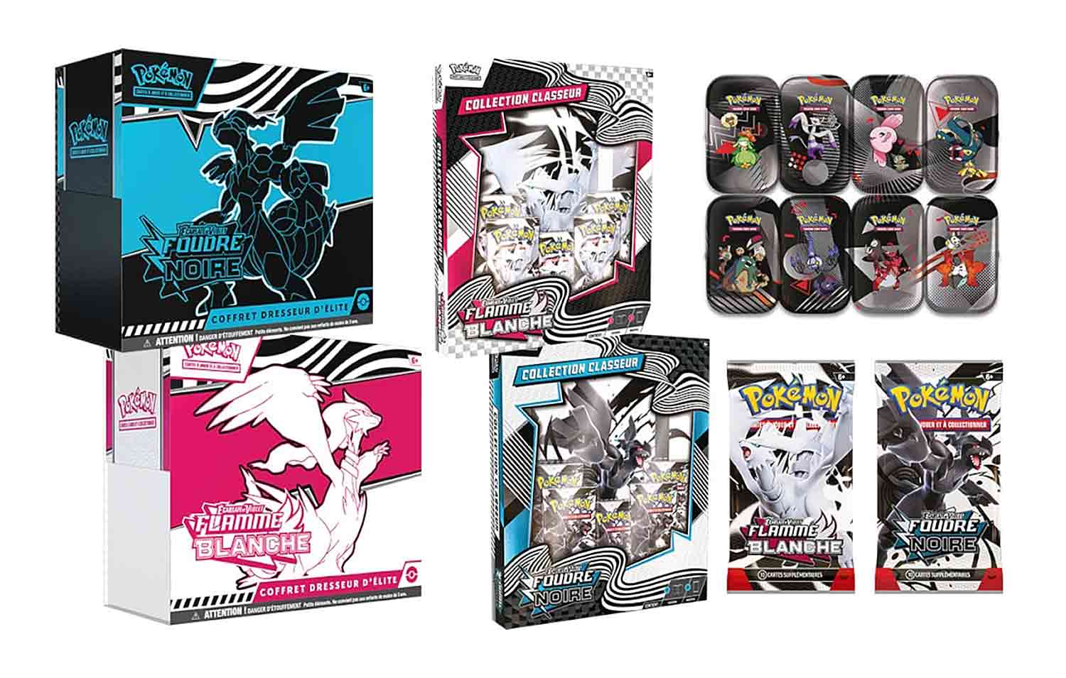 pokemon foudre noire flamme blanche